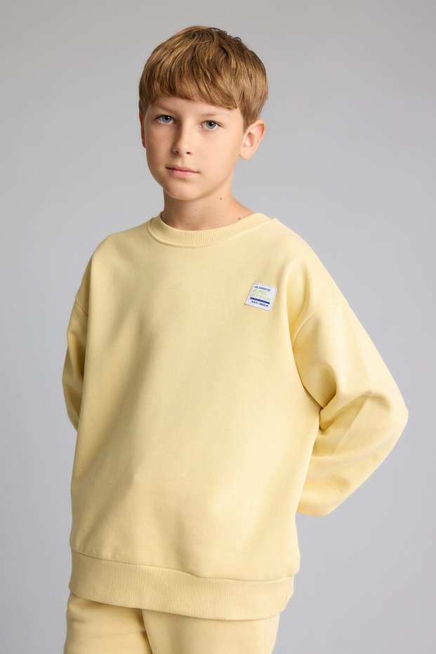 Oversized Crew Neck Sweatshirt with Label Detail, Thick Fabric, for Boys, J1533A826Cw.
