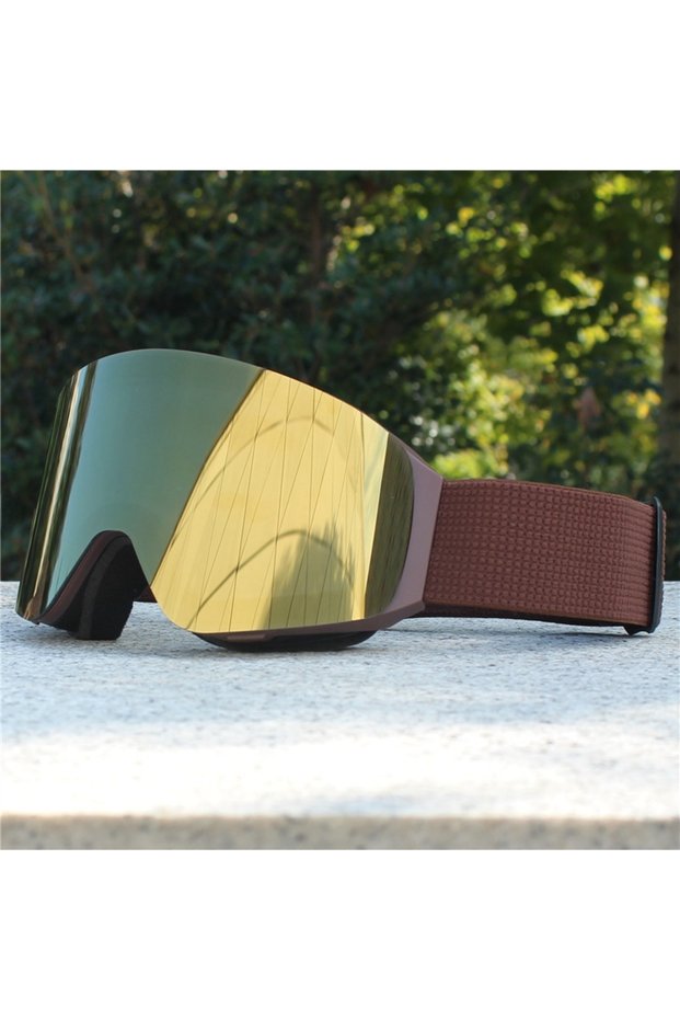 frame and lens E Magnetic Flip Cover Double Layer Anti-Fog Ski Goggles Snowboard Glasses Snowmobile