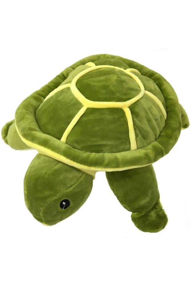 Turtle Plush 27 Cm.