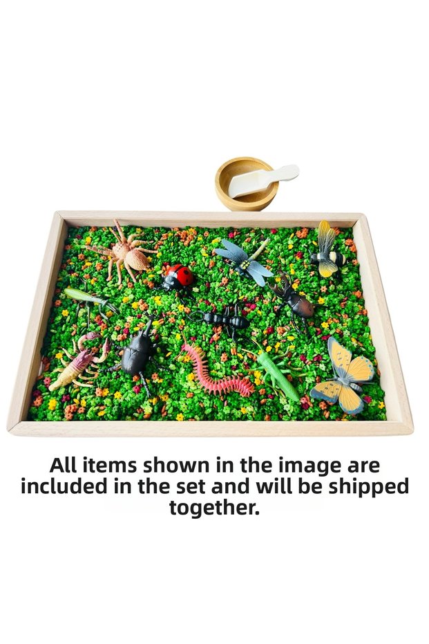 SAND TRAY INSECTS ACTIVITY SET