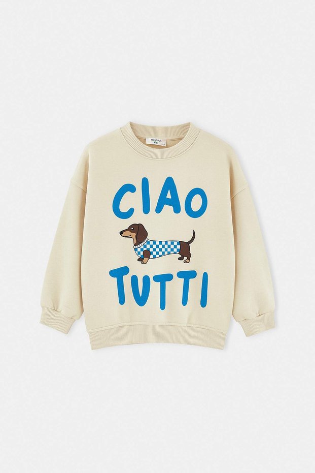 Beige Boys' Plain-Knit Crew Neck Printed Long-Sleeve Sweatshirt TKDAW27SW00107