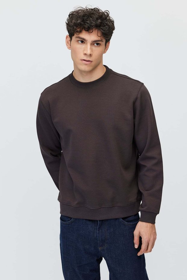 Men's Crew Neck Basic Sweatshirt