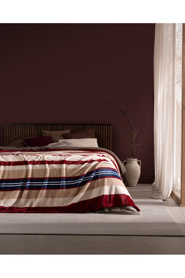 Mozel Single-Size Wellsoft Printed Blanket - Red/Navy Blue