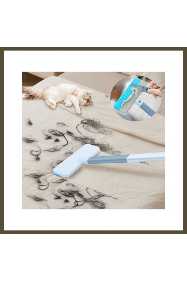 BX Dual-Purpose Pet Hair Remover and Surface Cleaning Brush