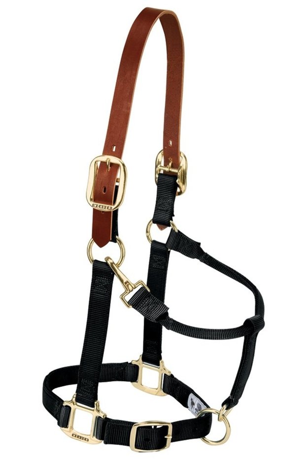 Nylon Adjustable Breakaway Horse Halter, Small, Black