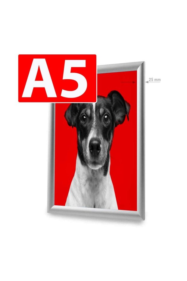 Cadrul Click Standard Argintiu