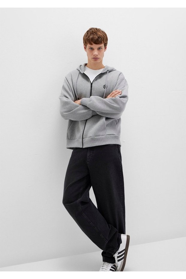 Seal Logo Embroidered Hooded Zippered Gray Sweatshirt 066979-34686