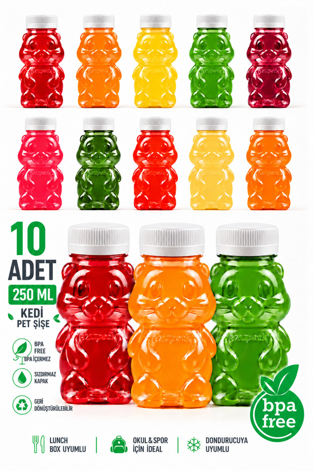 CAT PET BOTTLE School Picnic Fruit Juice Smoothie Detox Ginger Clear Plastic Empty Leak-Proof Beverage Bottles, 10-Pack