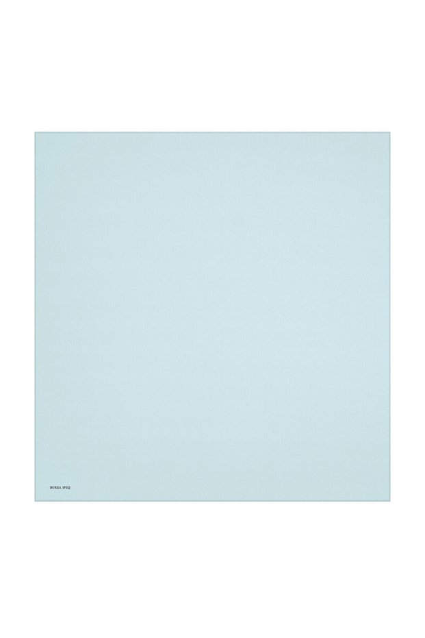 Solid Color, Clear-Textured Twill Silk Scarf