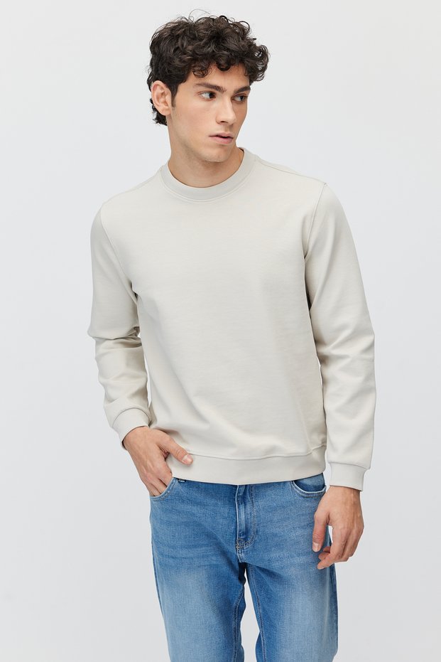 Men's Crew Neck Basic Sweatshirt