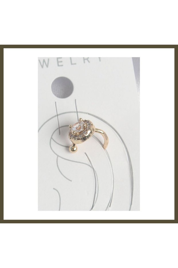 Gold-Toned Rice-Shaped Women's Cartilage Earrings with Zircon Stones BX