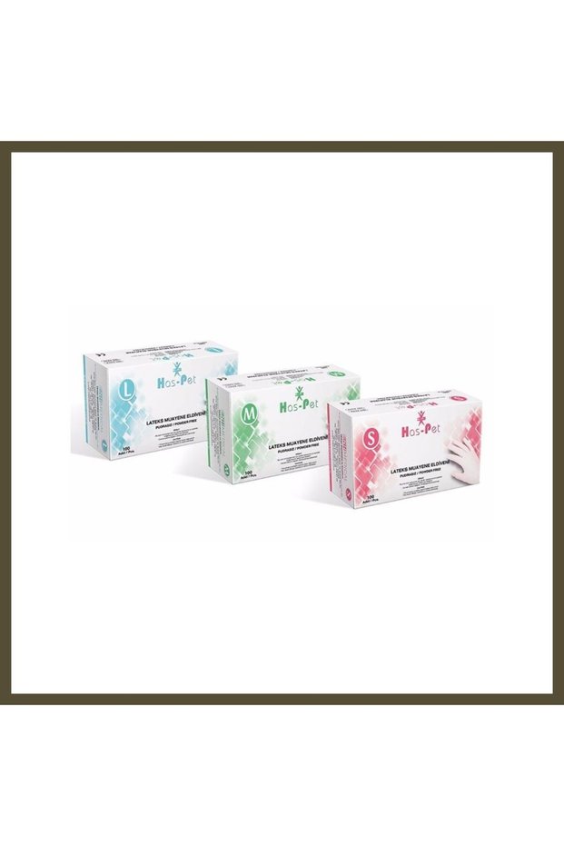 Latex Powder-Free Examination Gloves - L BX