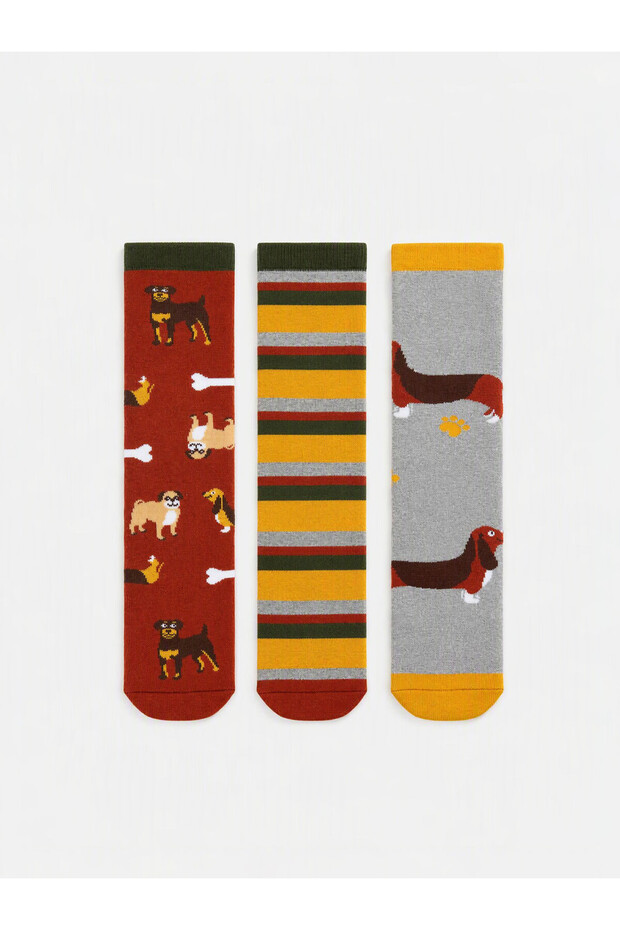 3-Piece Embroidered Boys' Socks from Uzg Store for Style Enthusiasts