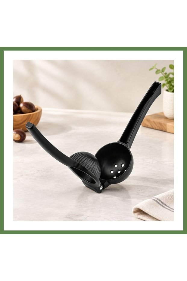 HB006 Steel Lemon and Fruit Juicer with Handles