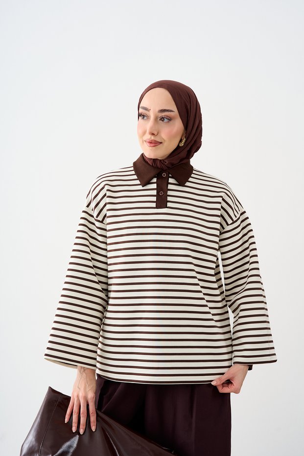 Women's Shirt Collar, Half-Buttoned, Striped Sweatshirt, Brown