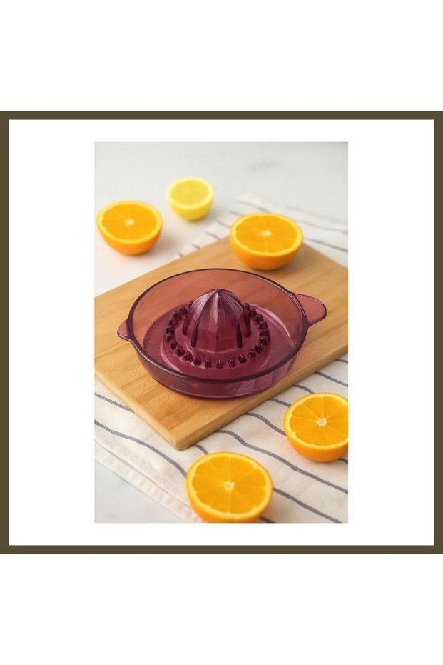 Acrylic Plum, Citrus, Lemon & Orange Juicer—Practical Orange Juicer BX
