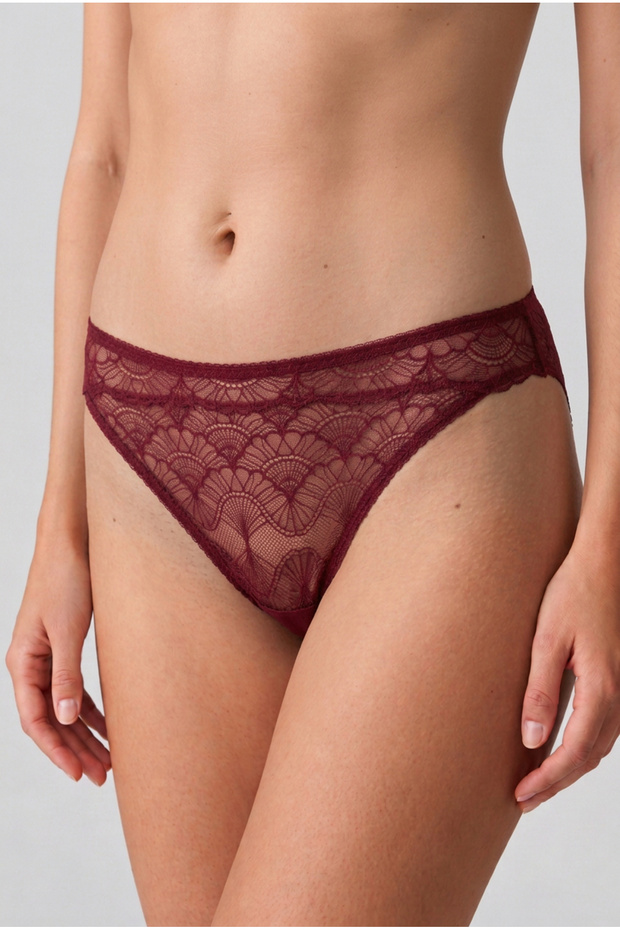 2657 Regular Tulle Briefs