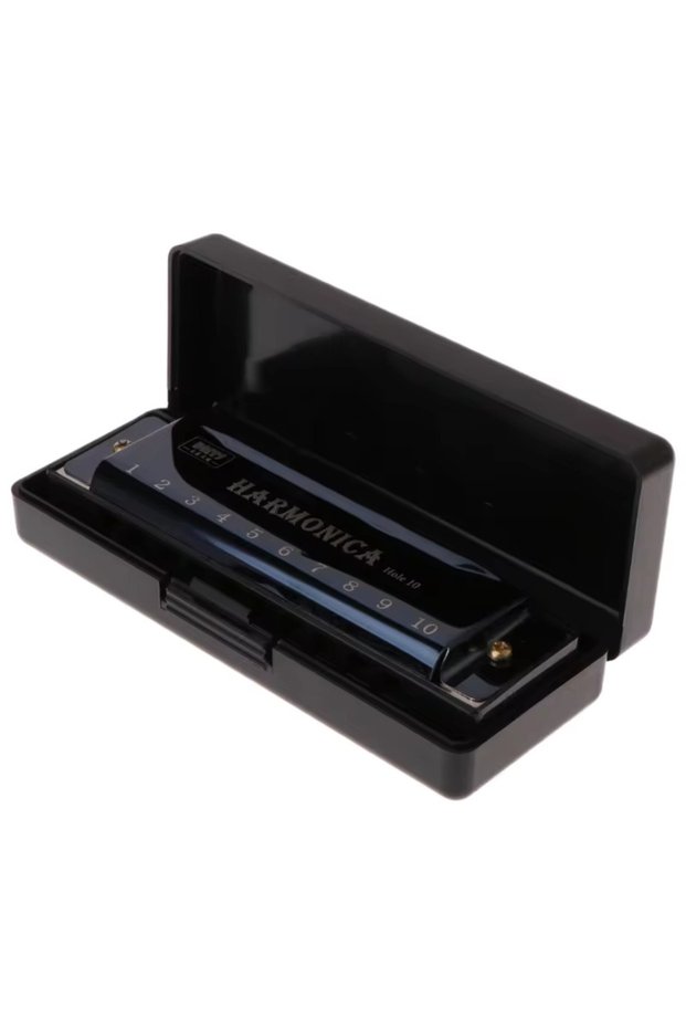 Black Harmonica Key of C 10 Hole Diatonic Harmonica C with Case for Beginner Students Kids Gift with