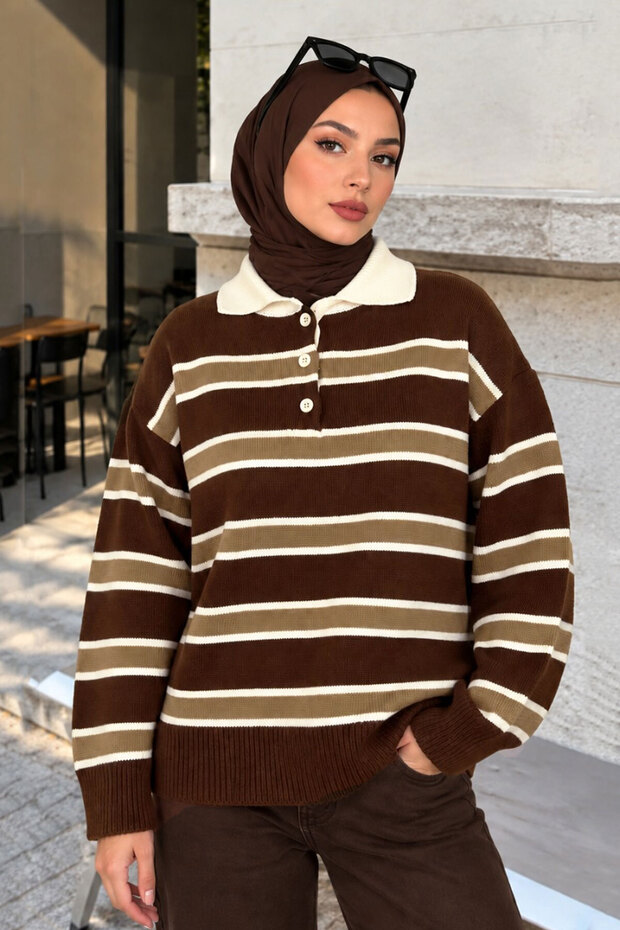 Half-Buttoned Striped Polo Collar Sweater TSD260380 Brown