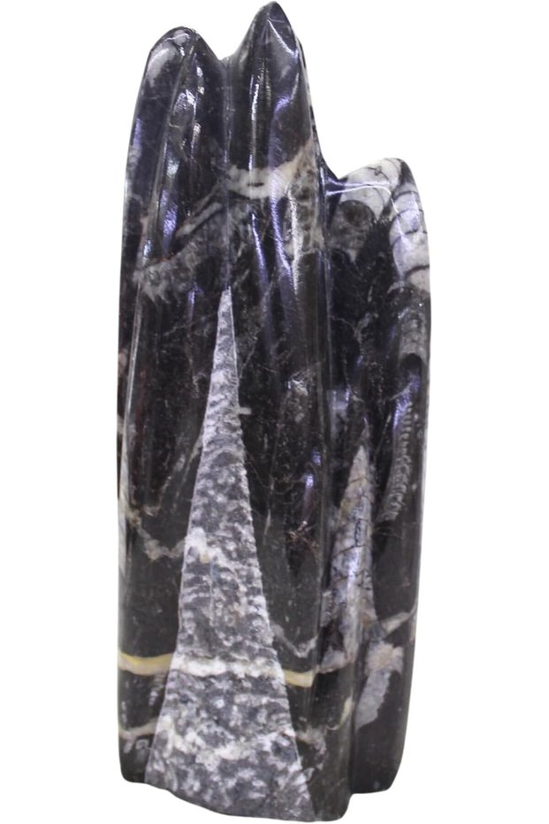 Latas Kuber Stone Finance Tower, Natural Orthoceras Tower, Ancient Marine Stone Sculpture for Home Office Decor, Spiritual Meditation and Vastu Inspired Display, Large Size