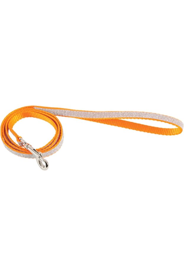 Orange Shiny Nylon Plain Leash