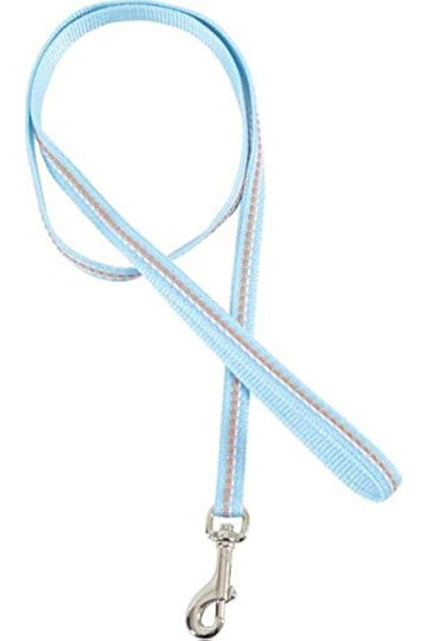 Tempo Nylon Standard Leash, Blue