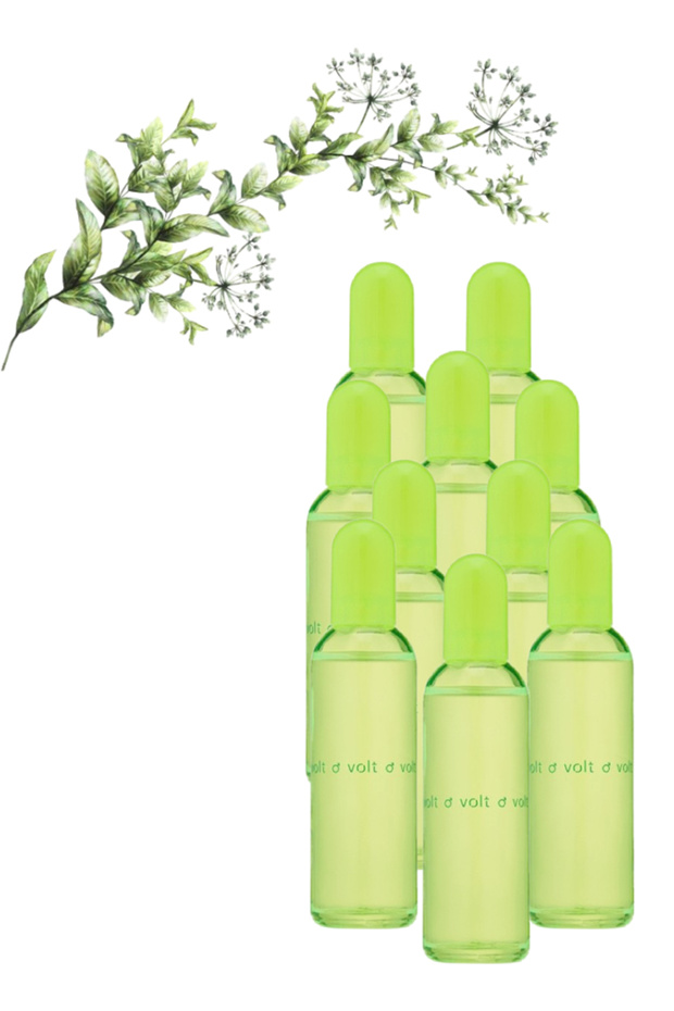 10 قطع Volt Perfume 100 مل