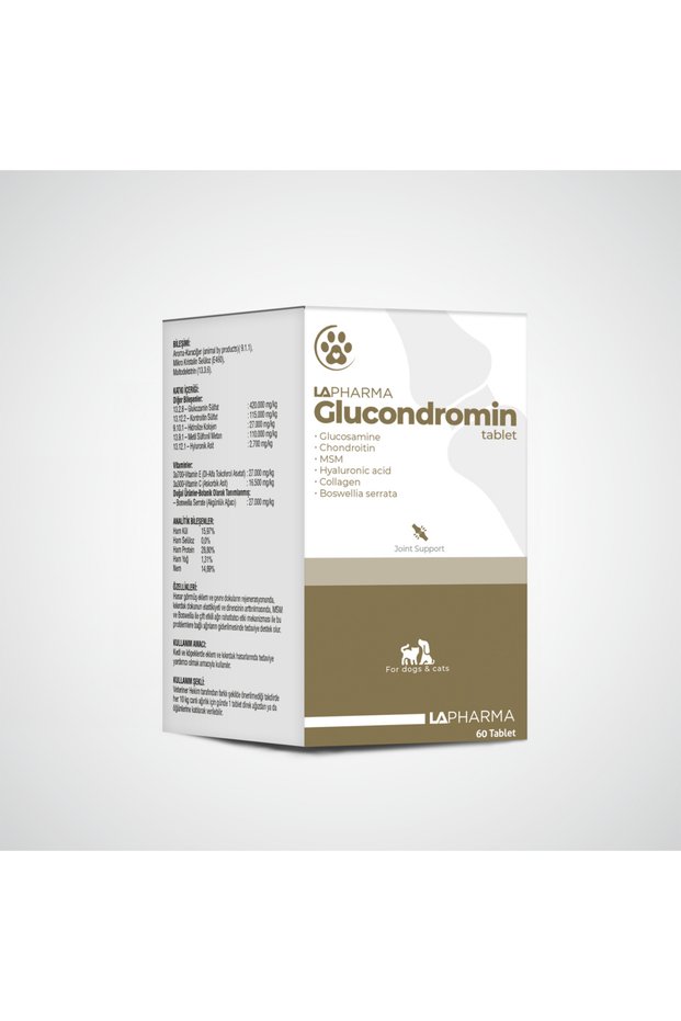 Glucondromin Tablet