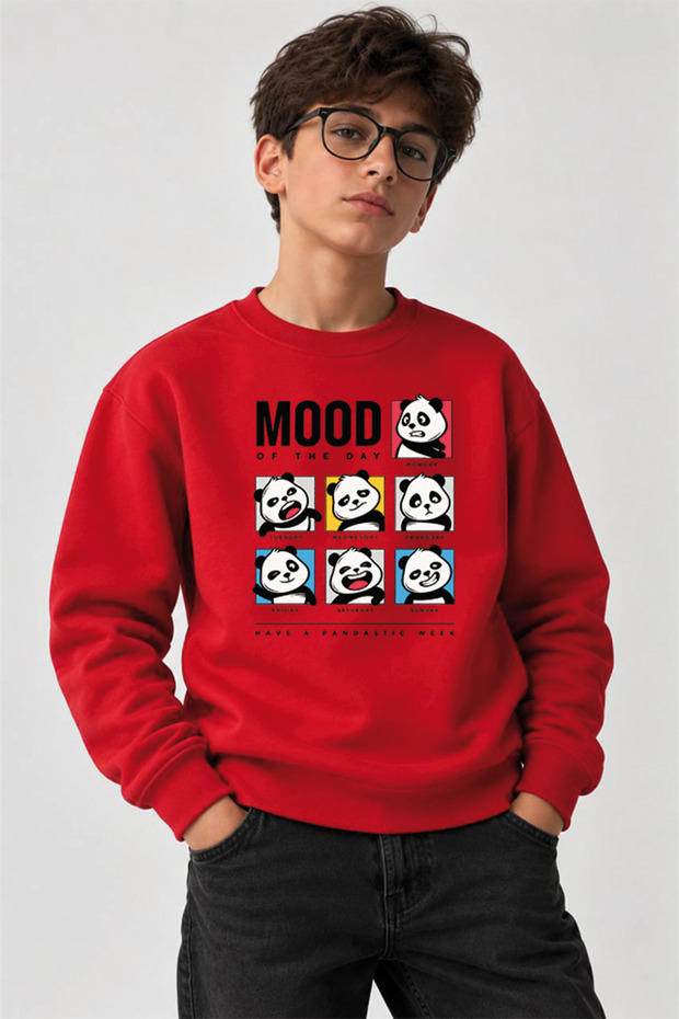 Printed Crew-Neck Sweatshirt for Boys