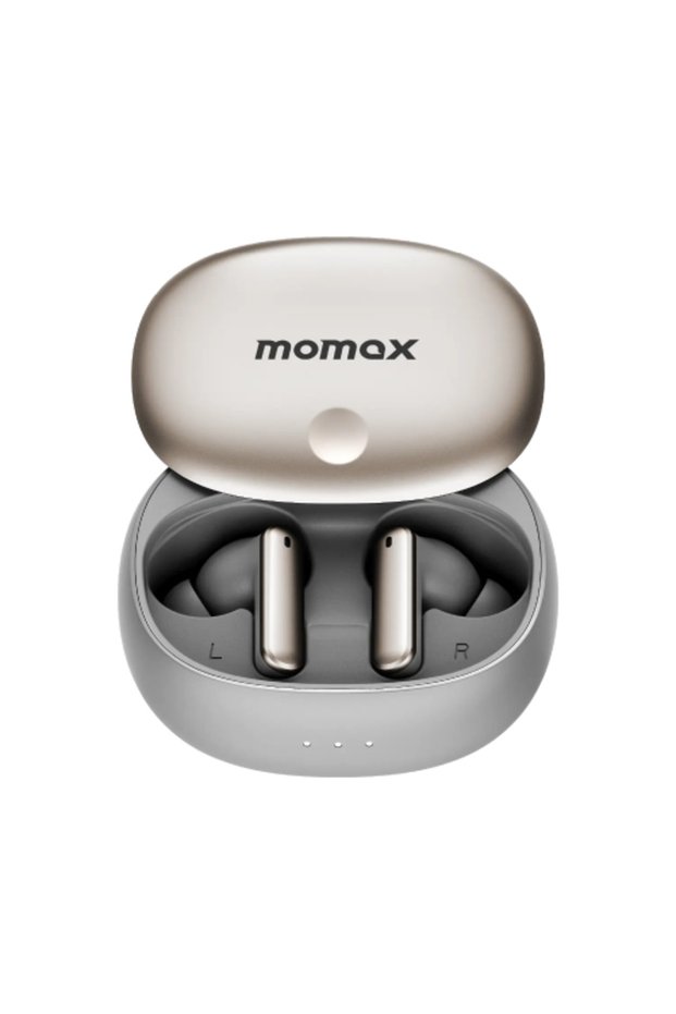 1-Vibe Lite Earbuds — Titanium