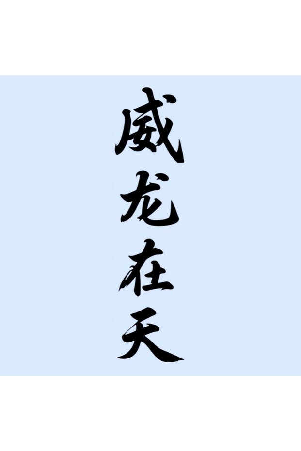 57.8x14.5cm WLZT-Black 1PC JDM Car Stickers Waterproof for DIY Auto Engine Hood Side Body Bumper Win