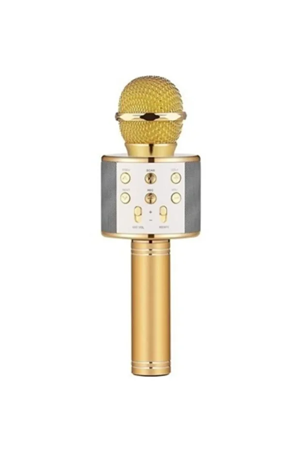 Ws-858 Karaoke Mikrofon Gold - 1