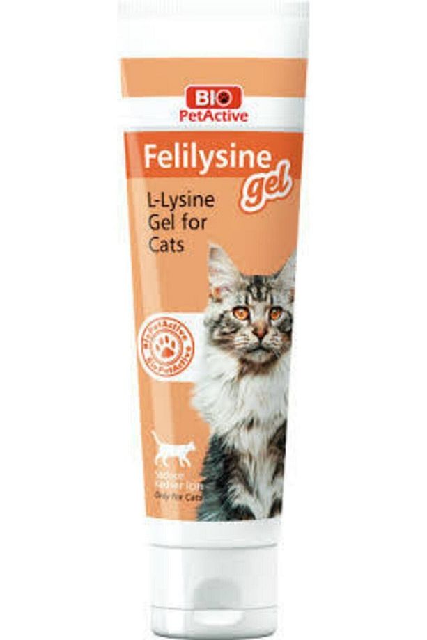 Pet Active Felilysine Jel Kediler Için 100 ml - 1
