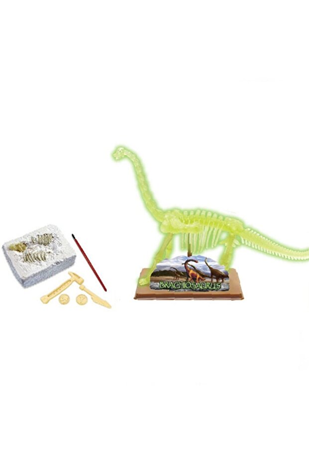 Dinozor Kazma Kiti Brachiosaurus Iskeleti - 1
