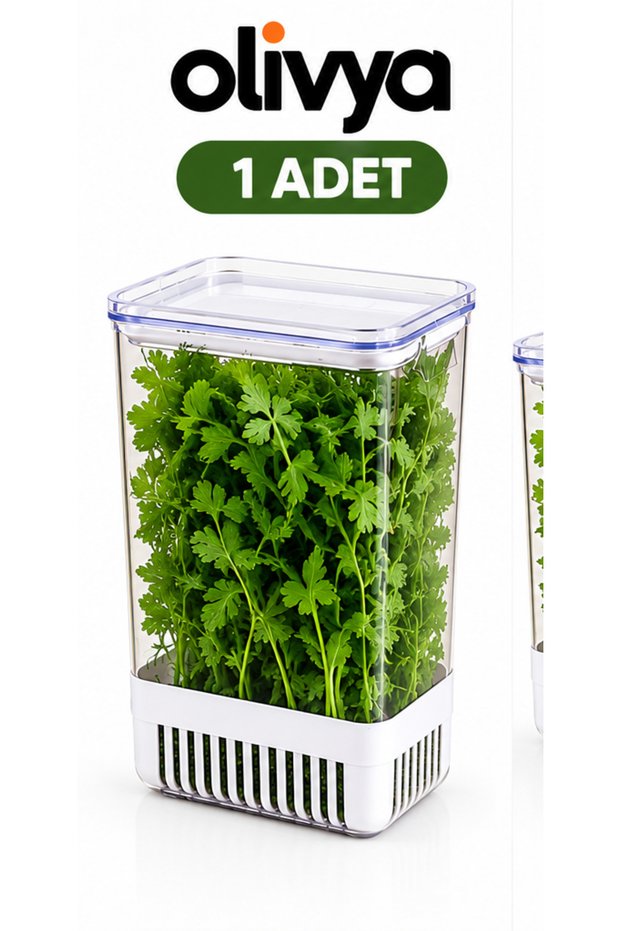 2.9-Liter Vegetable Storage Container - For Fresh Mint and Arugula, Refrigerator Organizer, 1 Piece
