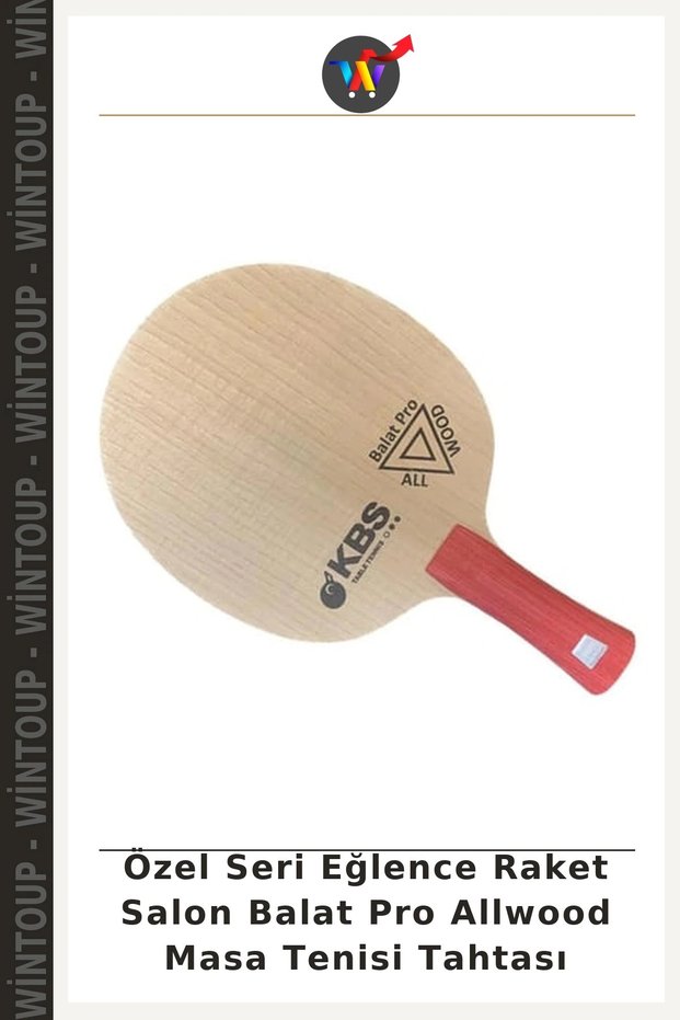 Special Edition Entertainment Racket Salon Balat Pro Allwood Table Tennis Table