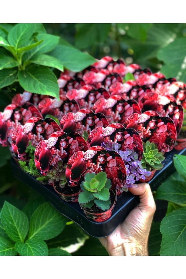 Pembe Çiçek Desenli Mix Paket 20 Adet - 2