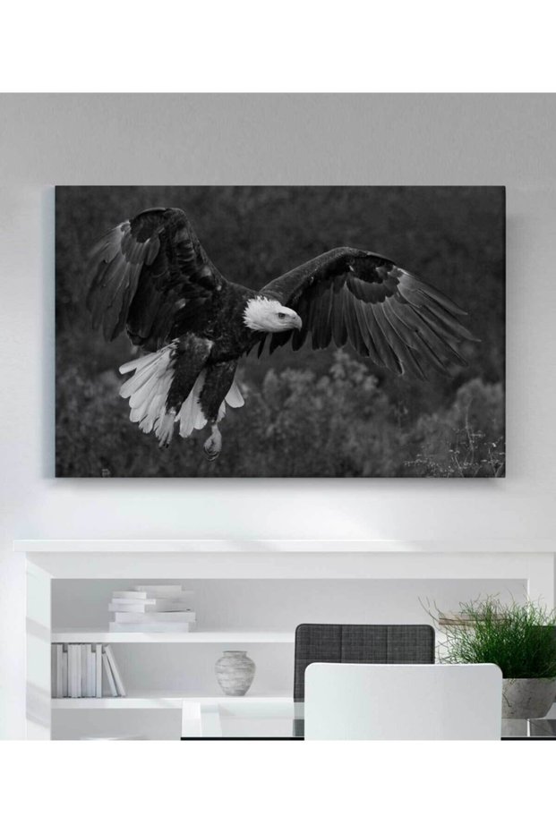 Kartal Kanvas Tablo