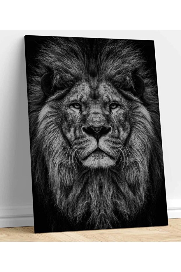 Aslan Kanvas Tablo - 2