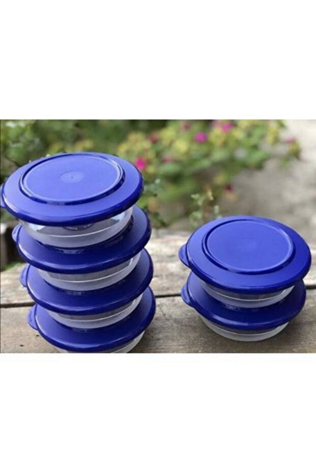 Kristalin Kasecik - 2