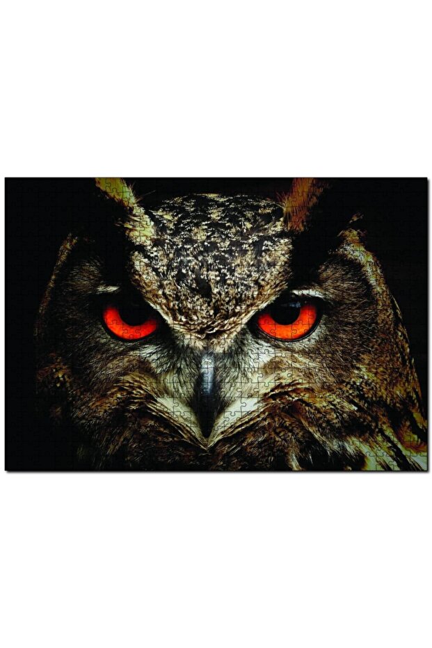 Cakasepetim Owl's Eyes 255 Piece Puzzle Jigsaw Mdf (Wood)
