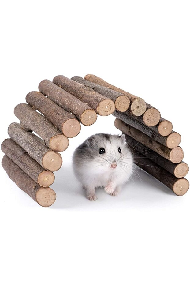 Hamster Oyuncak Seti 2'lü Set - 2