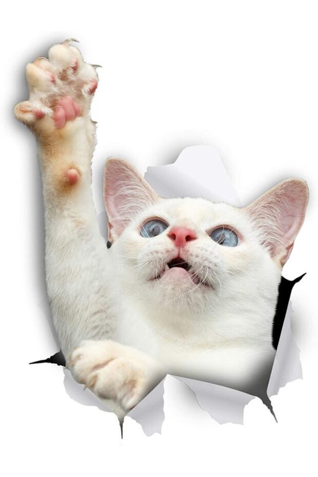 White Reaching Cat Cute Car Decal 18cm