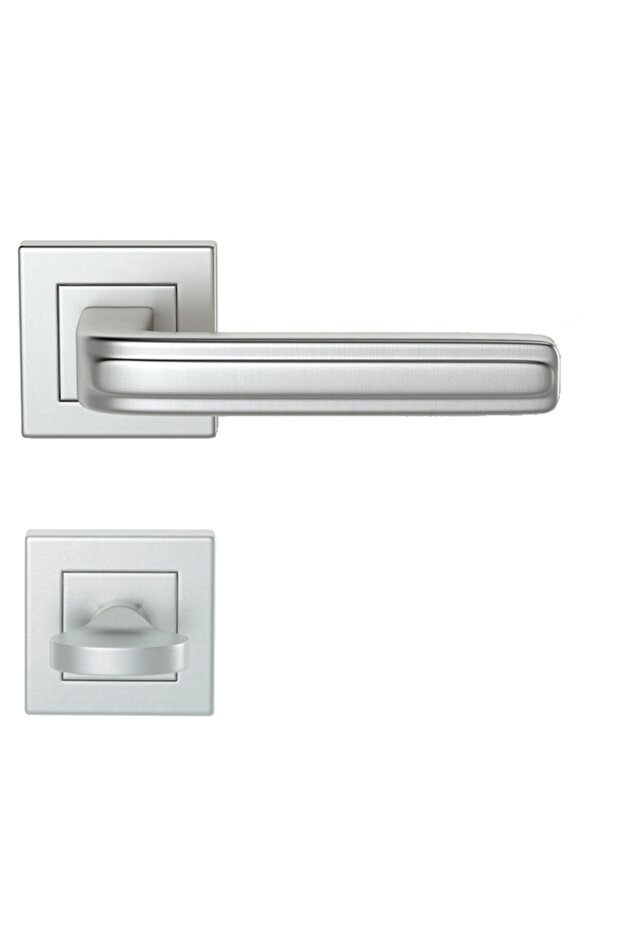1051 Model Satin - Badge Door and Handle Wc