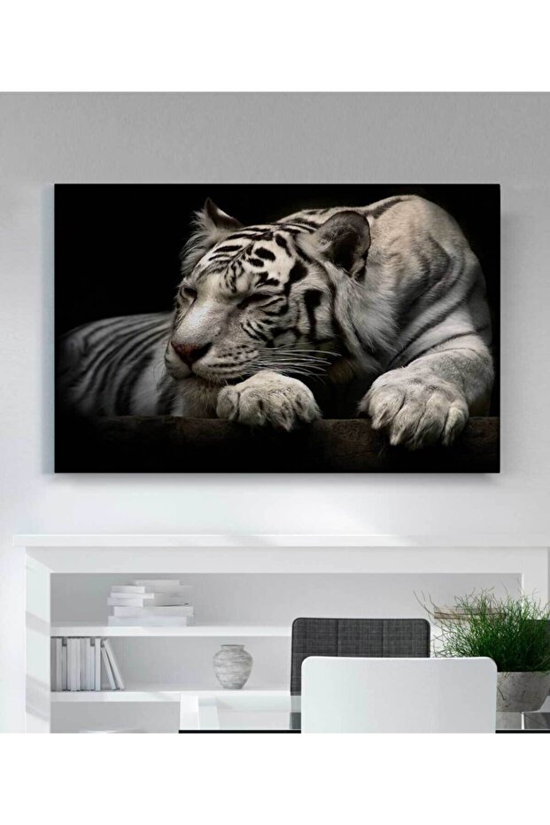 Modern Hayvan Kaplan - 1