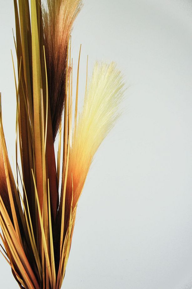 Yapay Çiçek Sarı Yapay Pampas Demeti - 2