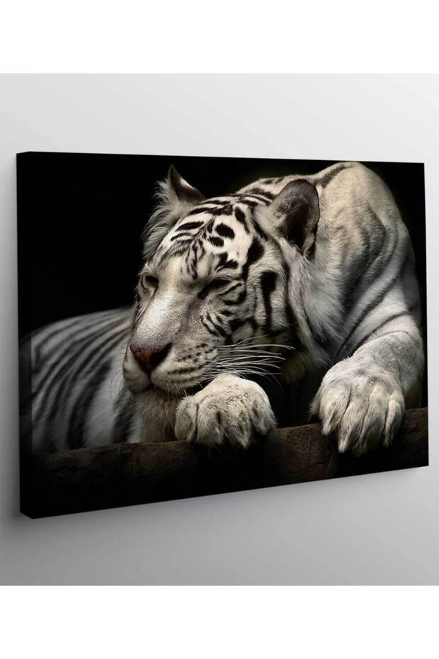 Modern Hayvan Kaplan - 2