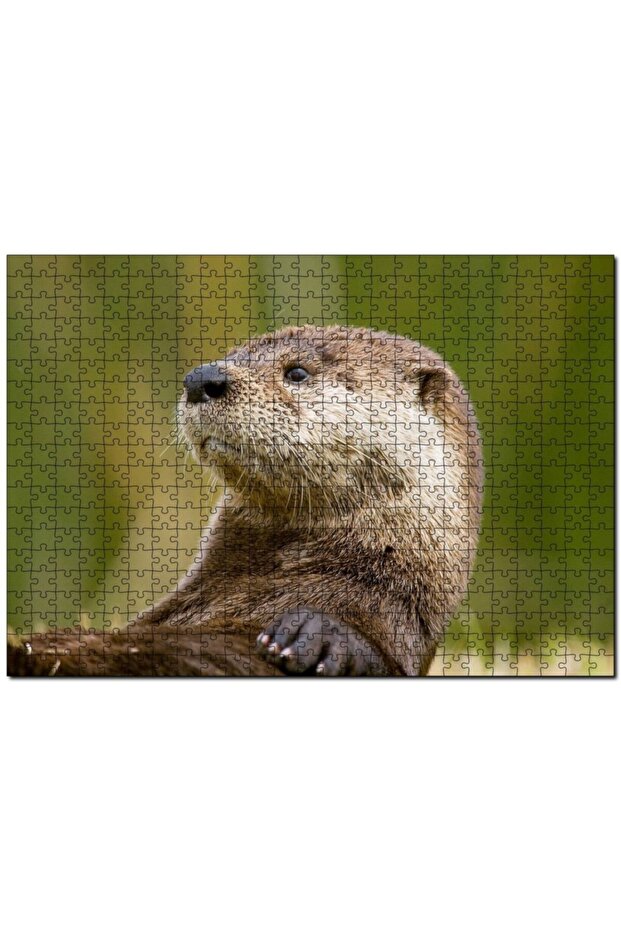 Otter Near Plan 255 Piece Puzzle Jigsaw Puzzle Mdf (wood)