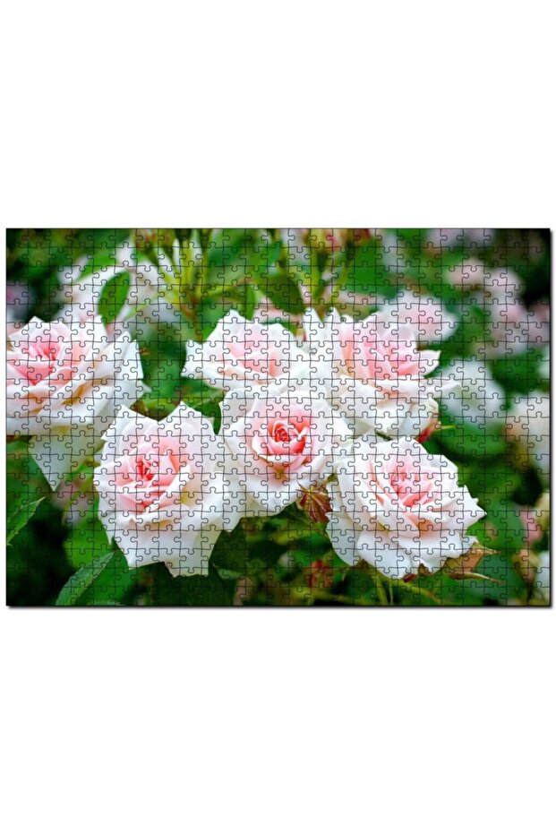 أحجية الصور المقطوعة المكونة من 120 قطعة من White Bush Roses MDF (خشب)