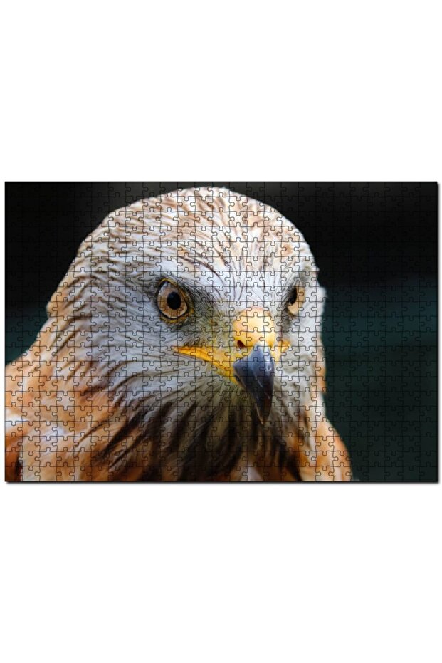 Cakasepetim Şahin Close-Up 500 Piece Puzzle Jigsaw Puzzle Mdf (Wood)